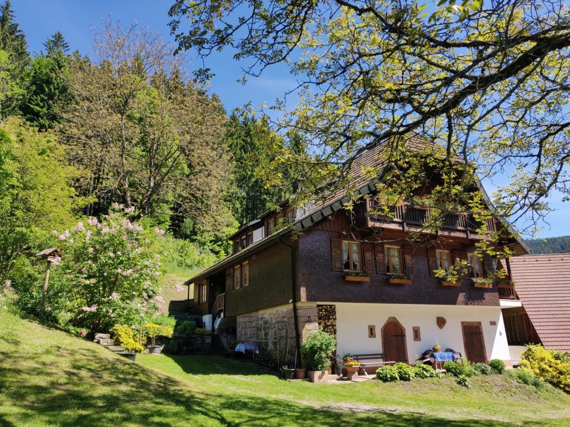 Ferienwohnungen Vogt'S Libding Bad Rippoldsau-Schapbach エクステリア 写真