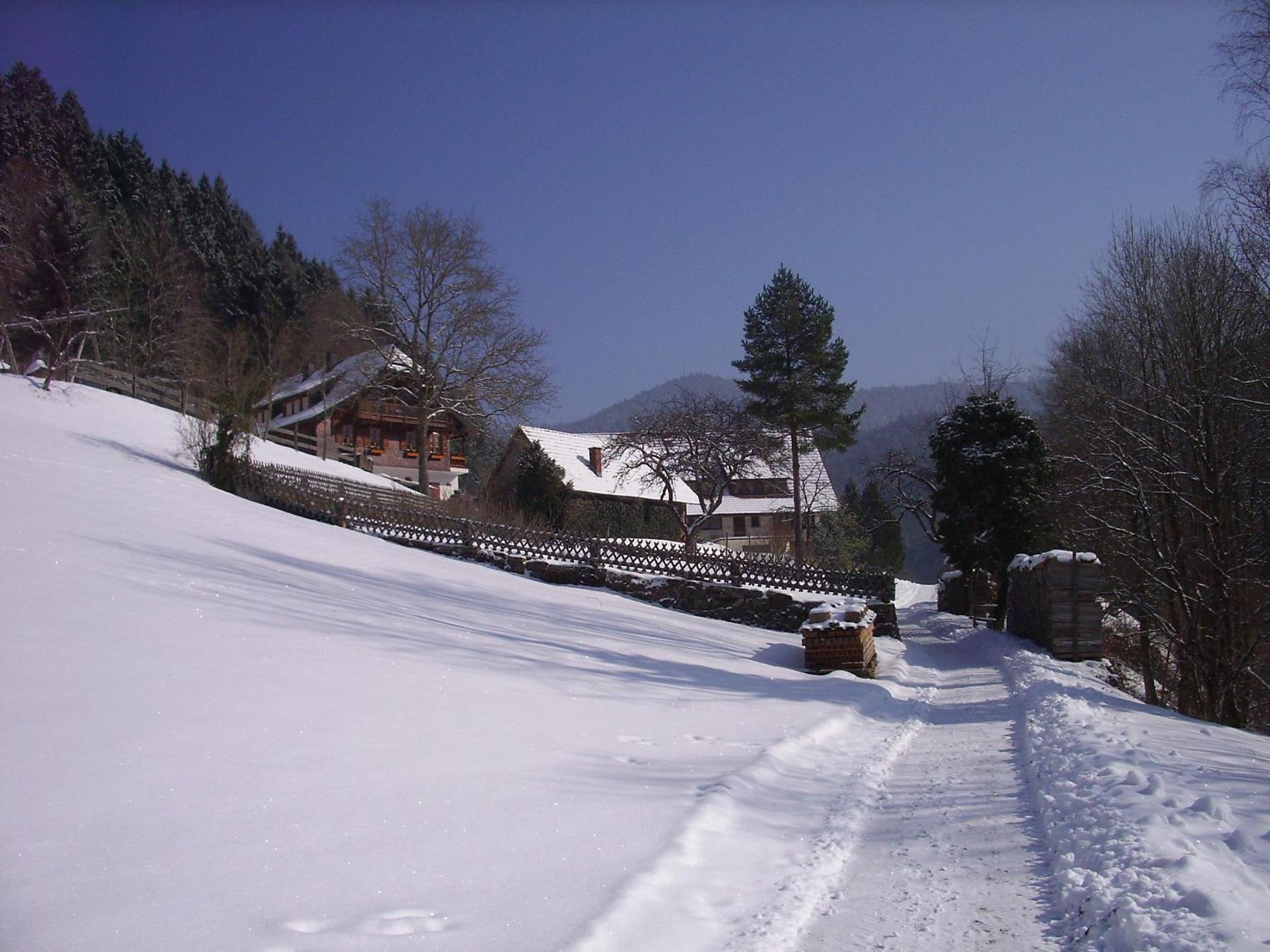 Ferienwohnungen Vogt'S Libding Bad Rippoldsau-Schapbach エクステリア 写真